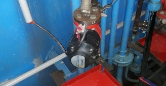 Фото И снова здравствуй! №6